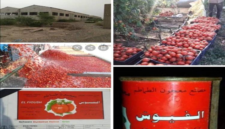 مصنع الفيوش لتعليب  معجون  الطماطم ( الصلصة )  في محافظة لحج 