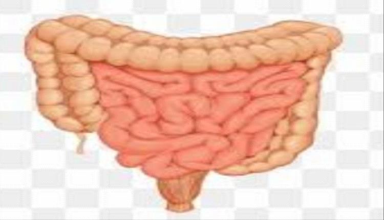 3 أخطاء غذائية تدمر الأمعاء